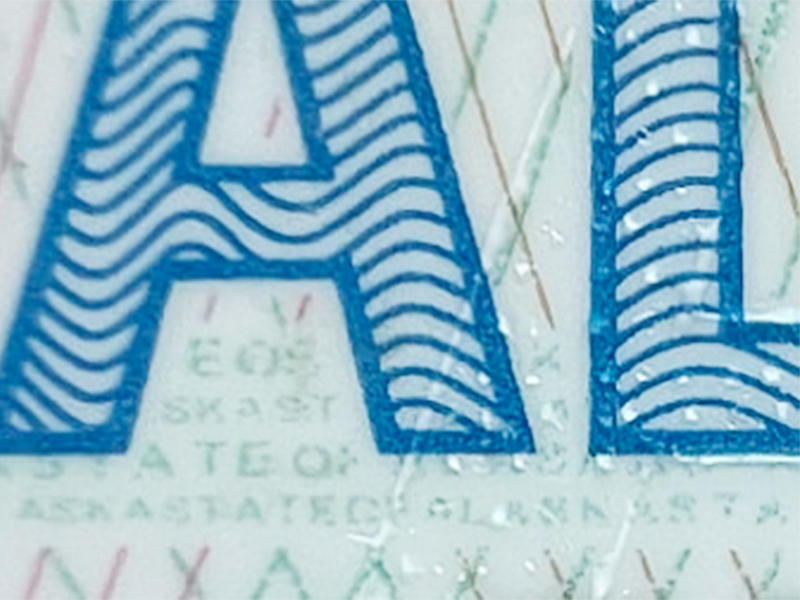 Microprint detail showing intricate artistic text patterns on novelty ID