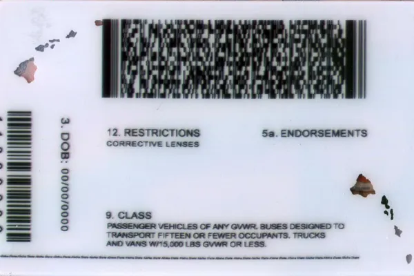 Buy Hawaii fake ID front view online
