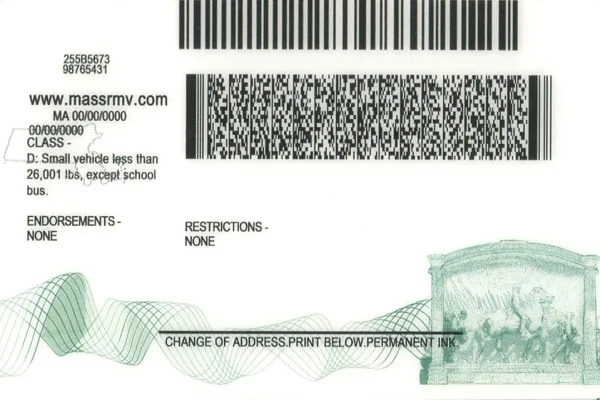 Buy Massachusetts fake ID front view online