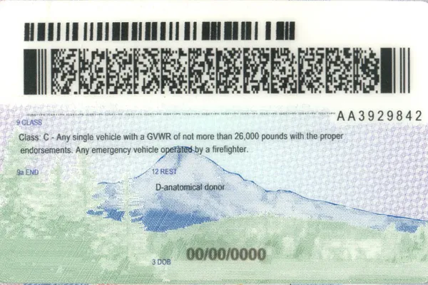 Buy Oregon fake ID front view online
