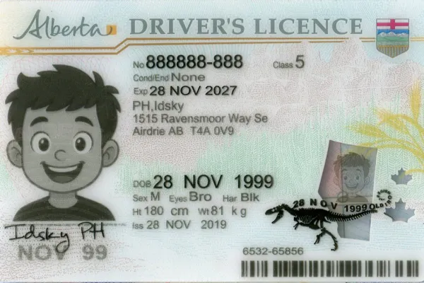 Buy Alberta fake ID online - premium quality driver license for sale