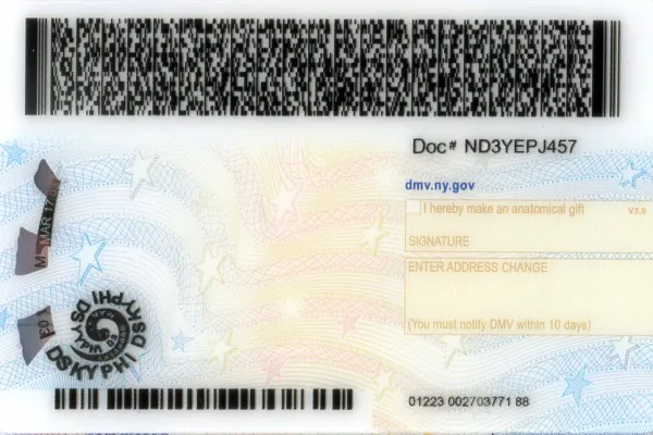 Buy New York fake ID front view online
