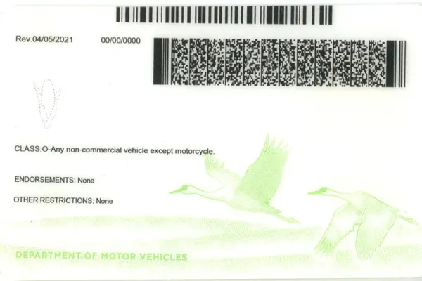 Buy Nebraska fake ID front view online