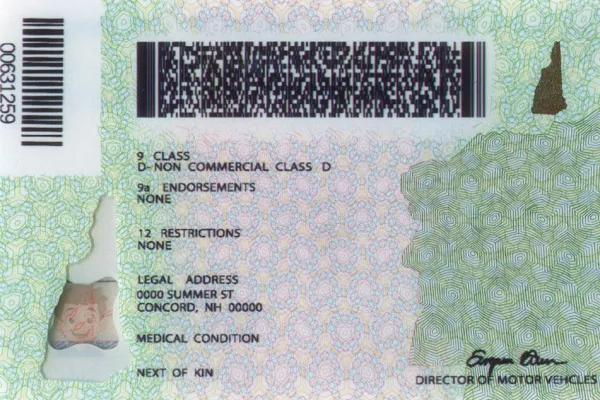 Buy New Hampshire fake ID front view online