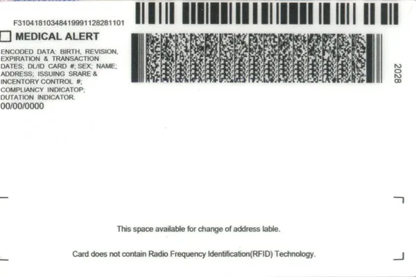 Buy Michigan fake ID front view online