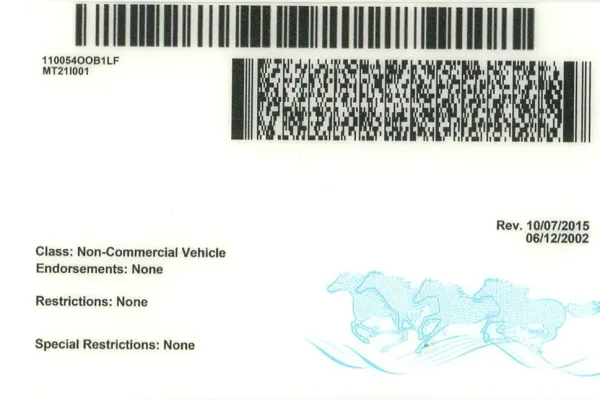 Buy Montana fake ID front view online