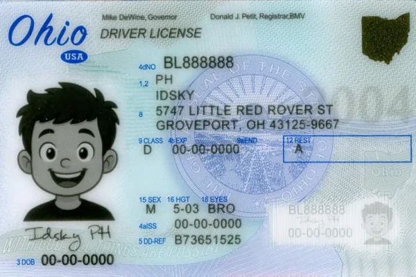 Buy Ohio fake ID online - premium quality driver license for sale