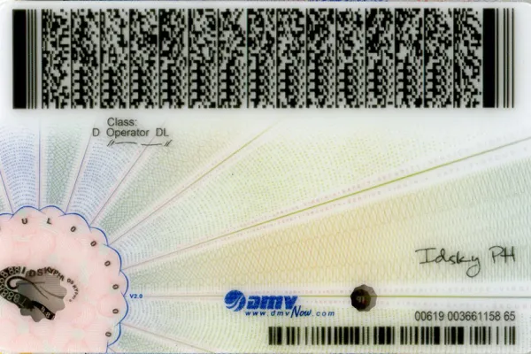 Buy Virginia fake ID front view online