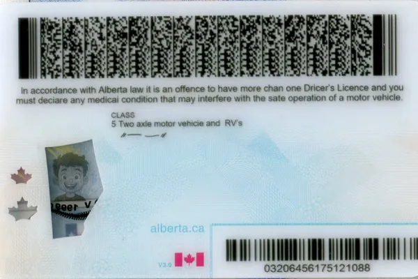 Buy Alberta fake ID front view online