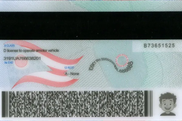 Buy Ohio fake ID front view online