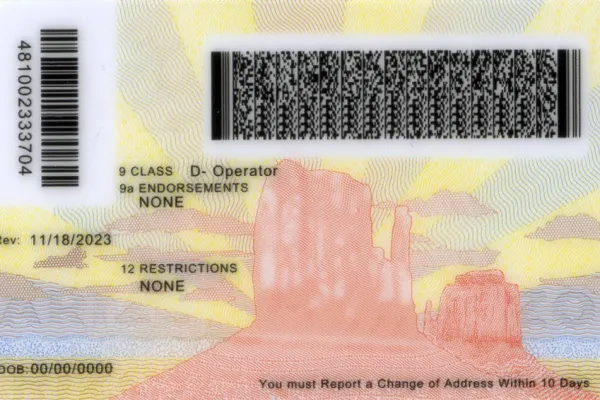 Buy Arizona fake ID front view online