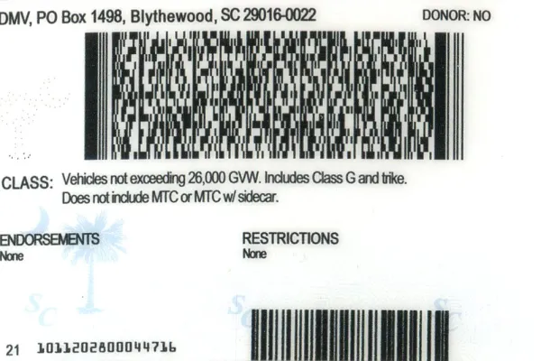 Buy South Carolina fake ID front view online