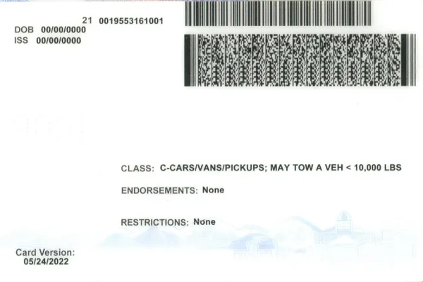 Buy Nevada fake ID front view online