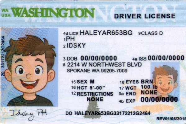 Buy Washington fake ID online - premium quality driver license for sale