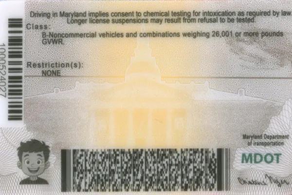Buy Maryland fake ID front view online
