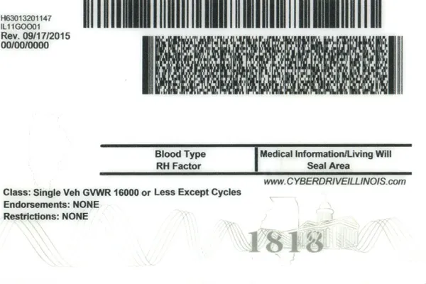 Buy Illinois fake ID front view online