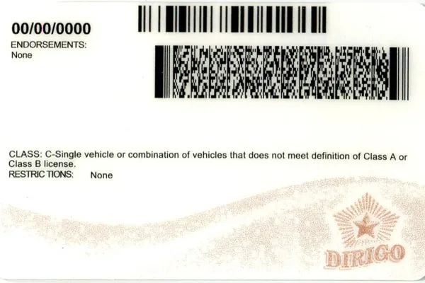 Buy Maine fake ID front view online