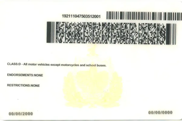 Buy Vermont fake ID front view online