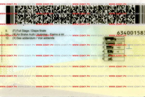 Order Manitba fake ID - fast delivery and best price guaranteed