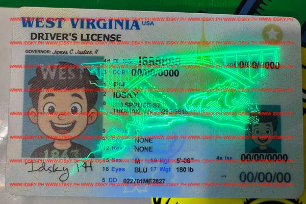 Order West Virginia fake ID - fast delivery and best price guaranteed