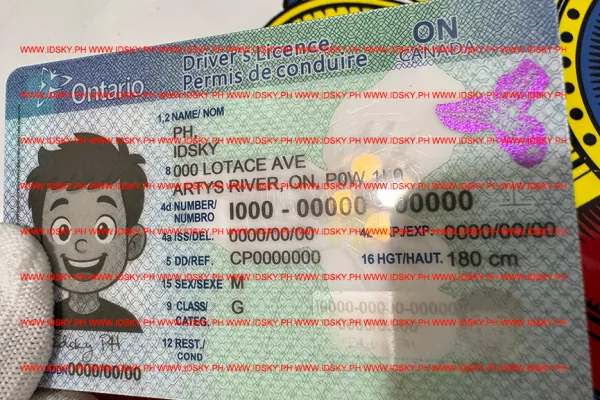 Order Ontario fake ID - fast delivery and best price guaranteed