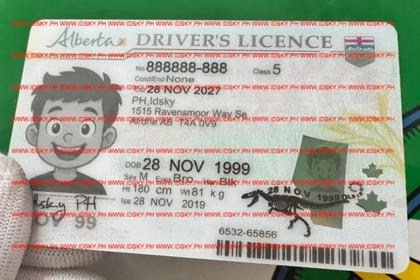 Order Alberta fake ID - fast delivery and best price guaranteed