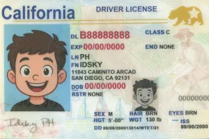 Order California fake ID - fast delivery and best price guaranteed