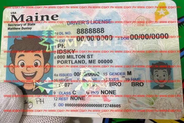 Order Maine fake ID - fast delivery and best price guaranteed