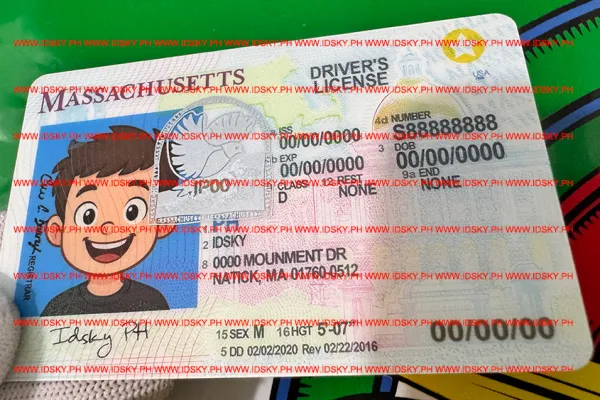 Order Massachusetts fake ID - fast delivery and best price guaranteed