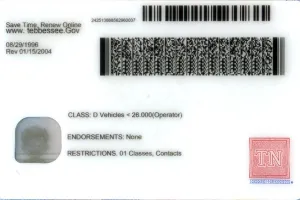 Order Tennessee fake ID - fast delivery and best price guaranteed