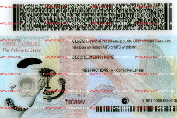 Order South Carolina Issue 2025 fake ID - fast delivery and best price guaranteed