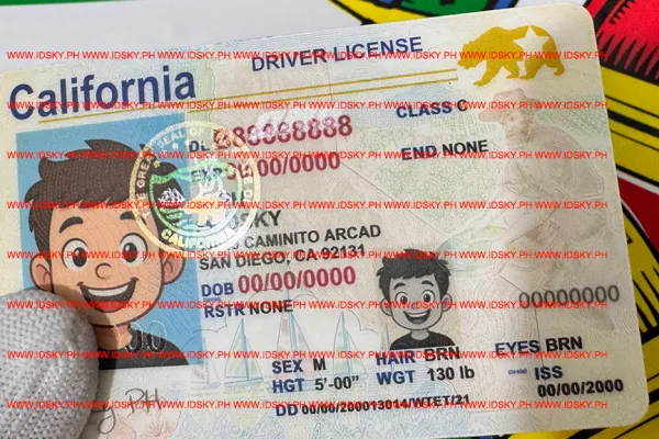 Order California fake ID - fast delivery and best price guaranteed