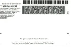 Order Michigan fake ID - fast delivery and best price guaranteed