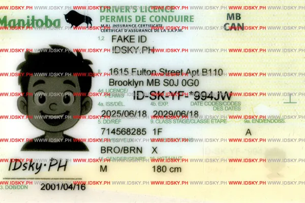 Order Manitba fake ID - fast delivery and best price guaranteed