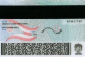 Order Ohio fake ID - fast delivery and best price guaranteed