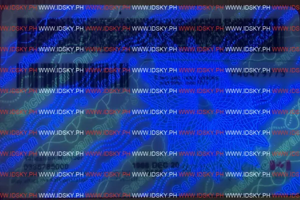 Order Saskatchewan-SK fake ID - fast delivery and best price guaranteed