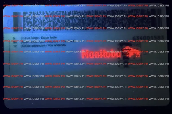 Order Manitba fake ID - fast delivery and best price guaranteed