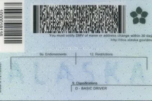 Order Alaska fake ID - fast delivery and best price guaranteed