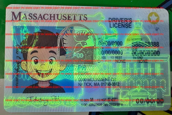Massachusetts Product Video Thumbnail
