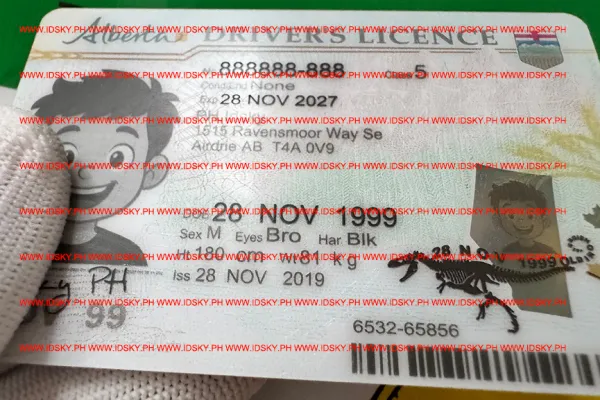 Order Alberta fake ID - fast delivery and best price guaranteed