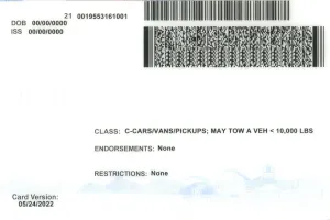 Order Nevada fake ID - fast delivery and best price guaranteed