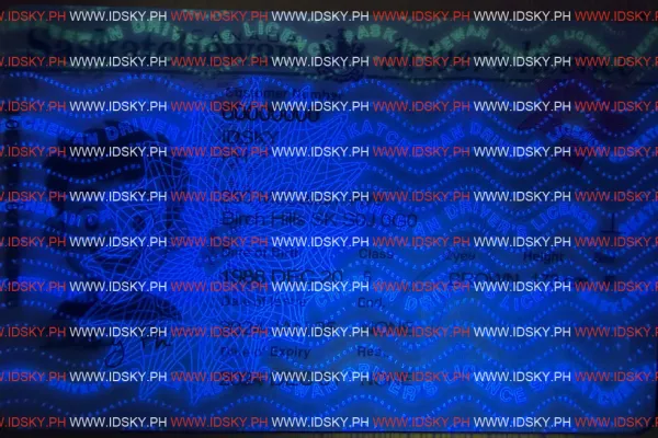 Order Saskatchewan-SK fake ID - fast delivery and best price guaranteed