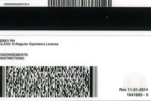 Order Alabama fake ID - fast delivery and best price guaranteed