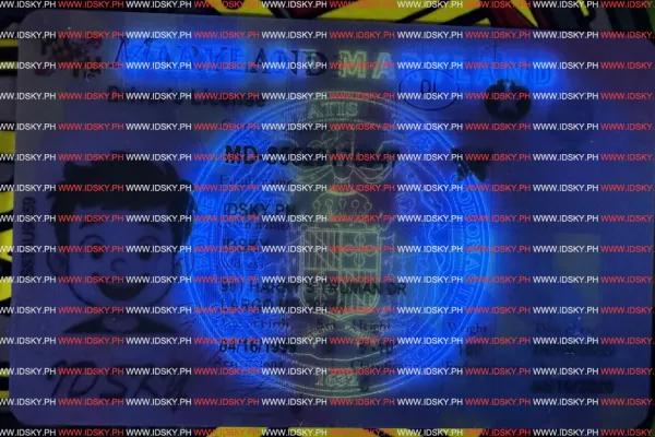 Order Maryland-October 2, 2025 fake ID - fast delivery and best price guaranteed