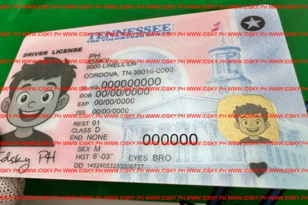Order Tennessee fake ID - fast delivery and best price guaranteed