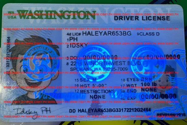 Order Washington fake ID - fast delivery and best price guaranteed
