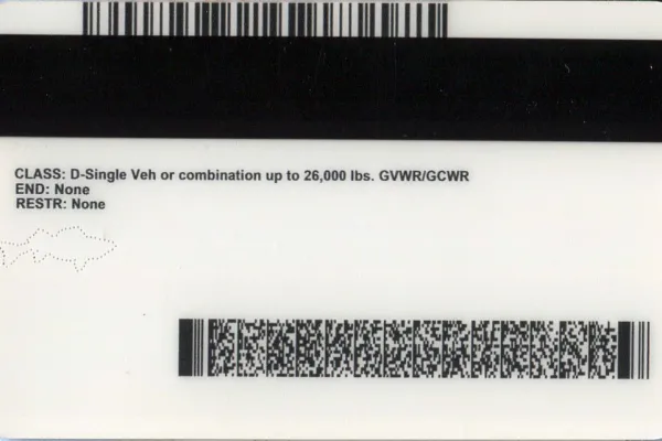 Order Minnesota fake ID - fast delivery and best price guaranteed