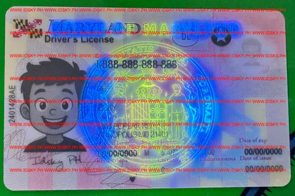 Order Maryland fake ID - fast delivery and best price guaranteed