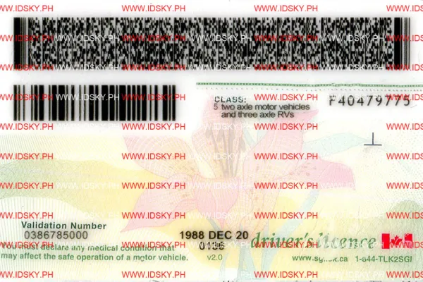Order Saskatchewan-SK fake ID - fast delivery and best price guaranteed