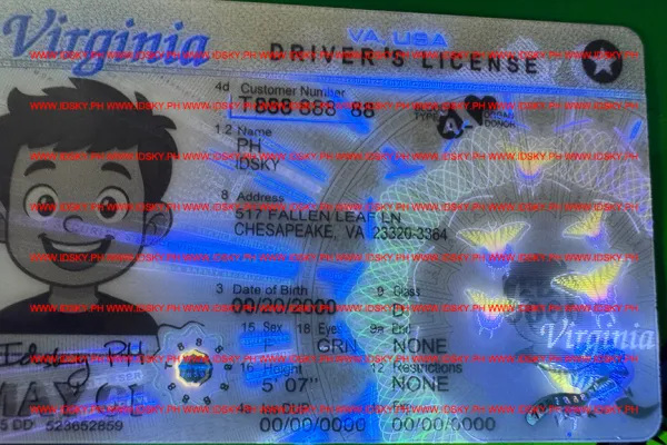 Order Virginia fake ID - fast delivery and best price guaranteed